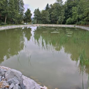 20220911 abschlussfest froschweihersanierung eroeffnung fischlehrpfad e959c9ad