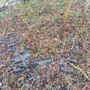 20220226 bachputzete jugend 2 2b459489