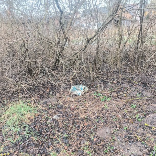 20220226 bachputzete jugend 8 23dde1bb