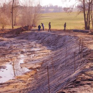 20220307 froschweiher einbringen biberschutzdraht 29 1505fa15