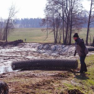 20220307 froschweiher einbringen biberschutzdraht 4 fd617c7c