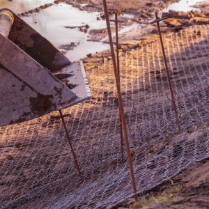 20220307 froschweiher einbringen biberschutzdraht 51 72863721