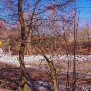 20220308 froschweiher einbringen steinschuettung 17 087f17aa