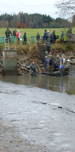 20101106 abfischen fleckenbachsee 12 14a13673