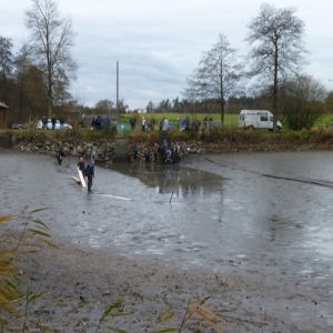20101106 abfischen fleckenbachsee 14 53aea210