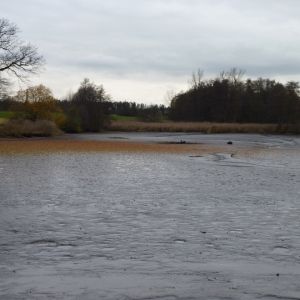 20101106 abfischen fleckenbachsee 15 d8ded274