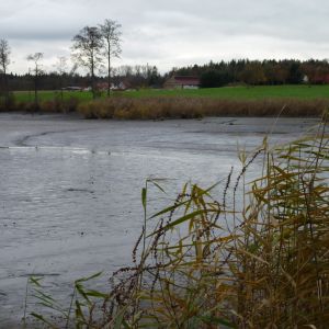 20101106 abfischen fleckenbachsee 16 b41e36ba