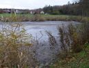 20101106 abfischen fleckenbachsee 17 1e03a906