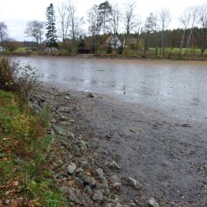 20101106 abfischen fleckenbachsee 18 5dbc1f13