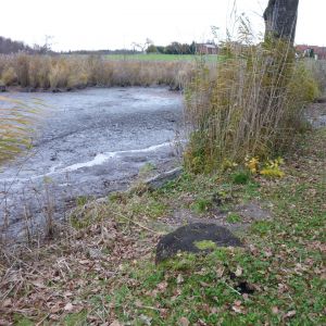 20101106 abfischen fleckenbachsee 19 50924524