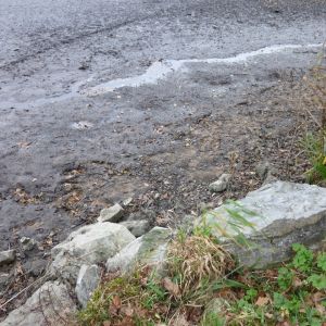 20101106 abfischen fleckenbachsee 20 f8169dc2