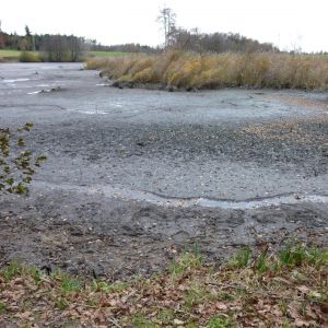 20101106 abfischen fleckenbachsee 22 ae4597c9