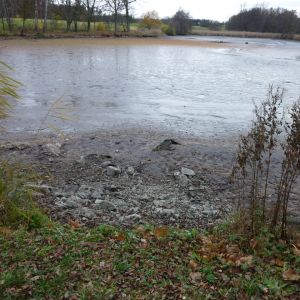 20101106 abfischen fleckenbachsee 23 f4ac884a