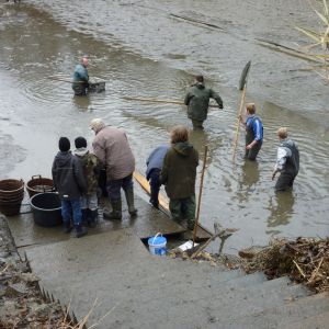 20101106 abfischen fleckenbachsee 26 a1cd989a