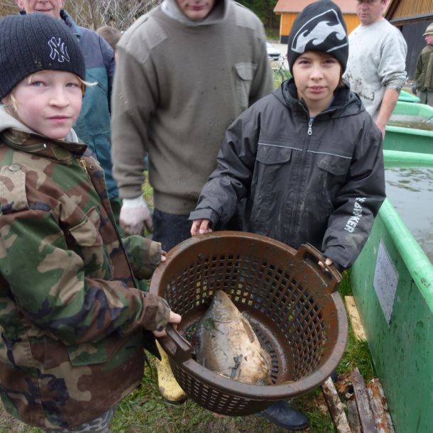 20101106 abfischen fleckenbachsee 28 46ab9a31