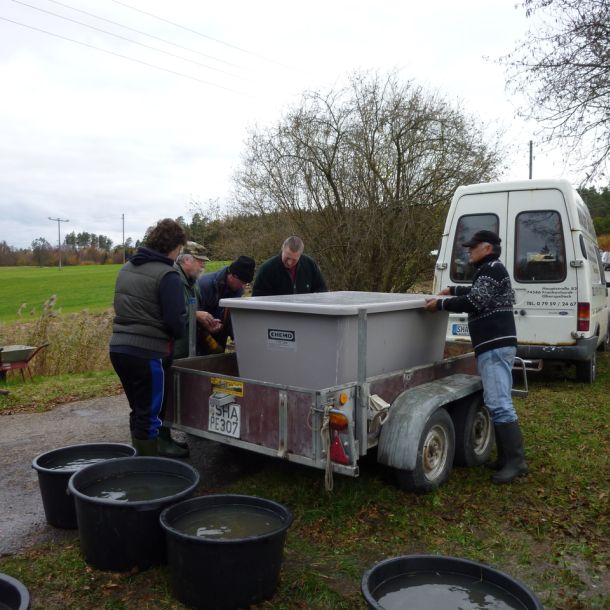 20101106 abfischen fleckenbachsee 29 231f3954