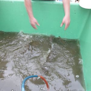 20101106 abfischen fleckenbachsee 30 a1df4714