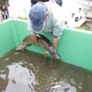 20101106 abfischen fleckenbachsee 31 9aaf0f06