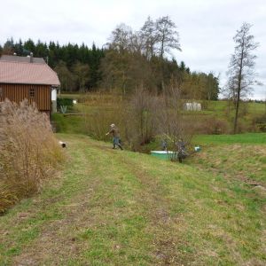 20101106 abfischen fleckenbachsee 32 a2a4c737