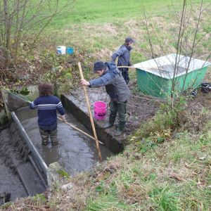20101106 abfischen fleckenbachsee 33 b63baf23