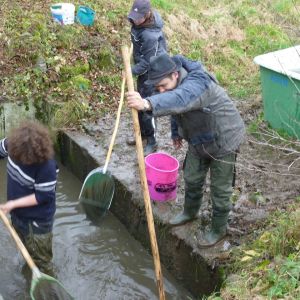 20101106 abfischen fleckenbachsee 34 ef18e434