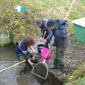 20101106 abfischen fleckenbachsee 35 1c42982b