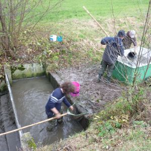 20101106 abfischen fleckenbachsee 37 4ff74b3a