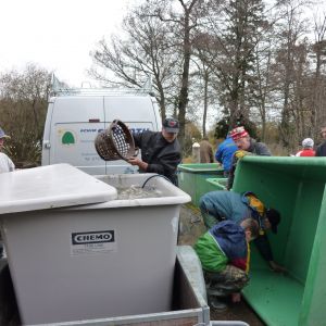 20101106 abfischen fleckenbachsee 40 03f76595