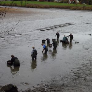 20101106 abfischen fleckenbachsee 42 dc94eac5