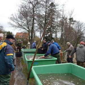 20101106 abfischen fleckenbachsee 46 40140f2e