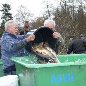 20101106 abfischen fleckenbachsee 49 1fc010ff