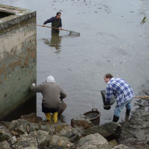 20101106 abfischen fleckenbachsee 5 afcb666e