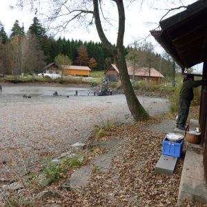 20101106 abfischen fleckenbachsee 50 f46e6273