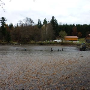 20101106 abfischen fleckenbachsee 53 96f3b0d1