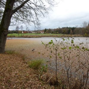 20101106 abfischen fleckenbachsee 55 2f94856a