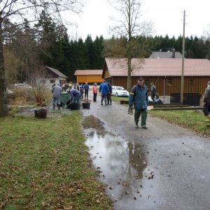20101106 abfischen fleckenbachsee 56 c9d266be