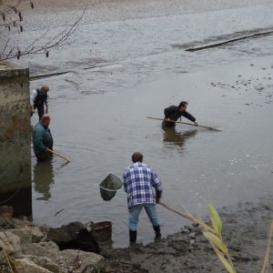 20101106 abfischen fleckenbachsee 6 f0b91b7d