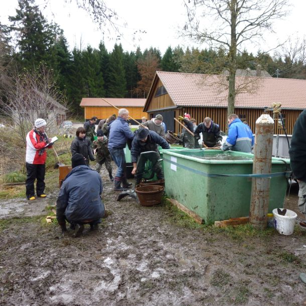 20101106 abfischen fleckenbachsee 61 36b4484b