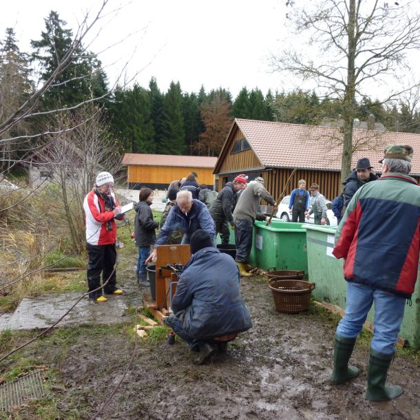 20101106 abfischen fleckenbachsee 62 6d20d065