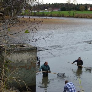 20101106 abfischen fleckenbachsee 7 49a1b24b