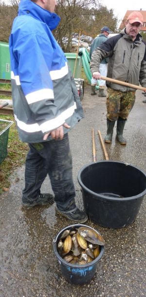 20101106 abfischen fleckenbachsee 76 fcf172ea