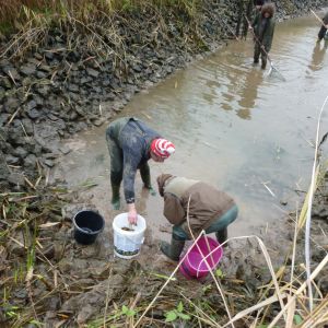 20101106 abfischen fleckenbachsee 77 859ef887