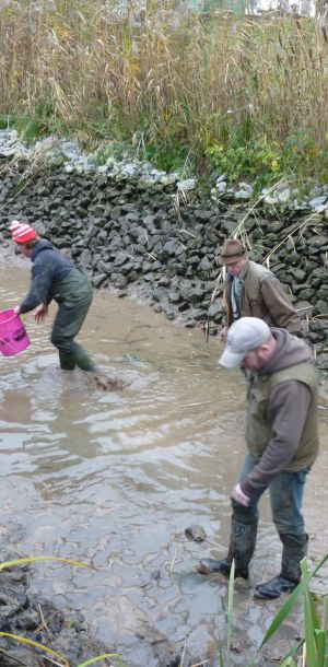 20101106 abfischen fleckenbachsee 78 ac263ac2