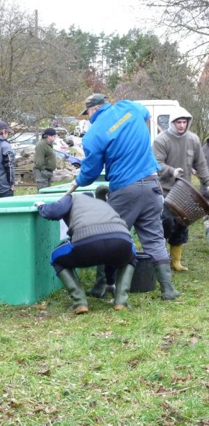 20101106 abfischen fleckenbachsee 8 16537e74