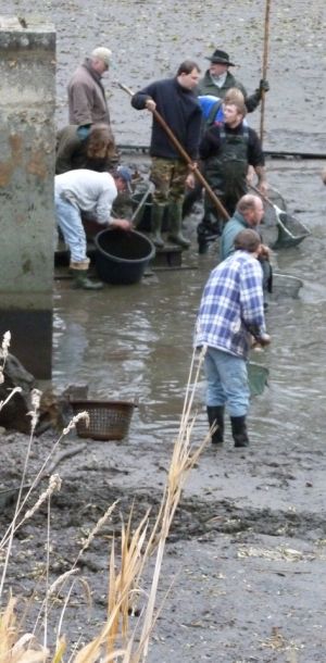 20101106 abfischen fleckenbachsee 9 0ab36e4f