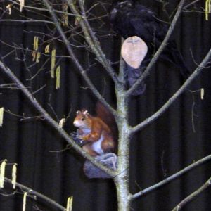 20110218 fruehjahrsfischessen 33 76de50f4