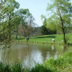 20110416 forellenangeln tiefensee 18 be270668