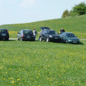 20110416 forellenangeln tiefensee 19 c8433062