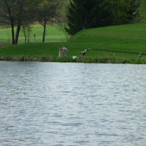 20110416 forellenangeln tiefensee 8 dcf4d1df