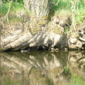 20110511 anfischen jagst 19 a8ec4505